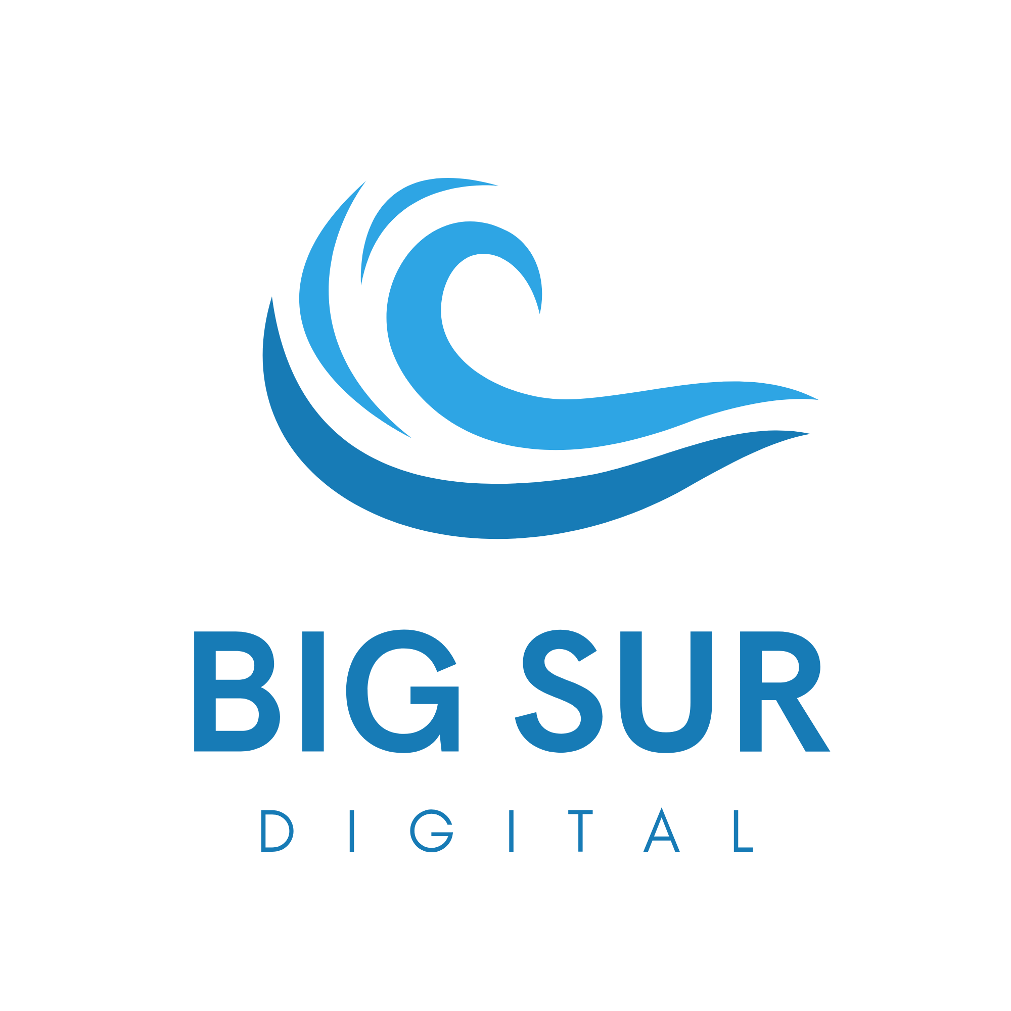 Big Sur Digital Logo